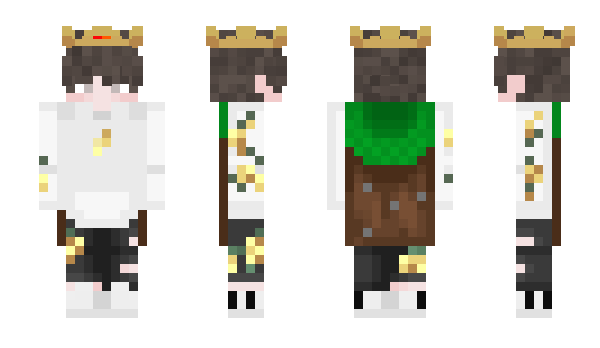 Minecraft скин по нику RokT09