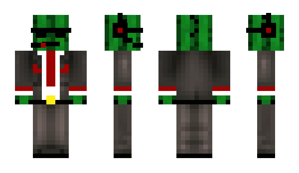 Minecraft skin kactus799