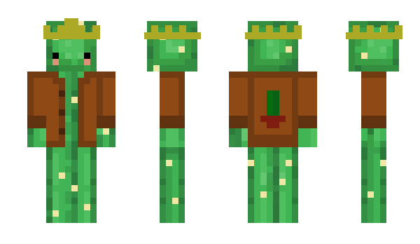 Minecraft skin SenorCactoos