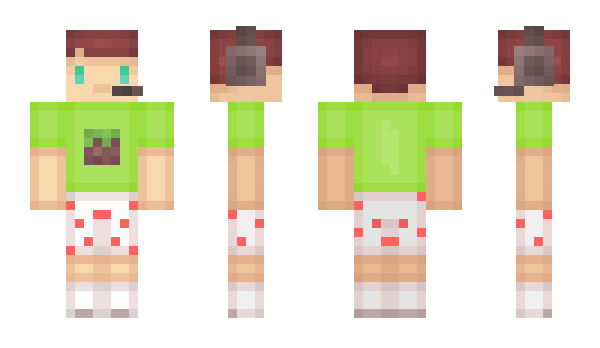 Minecraft skin Allolle