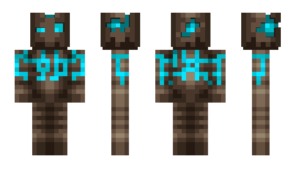 Minecraft skin Doctordoo