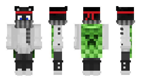 Minecraft скін по ніку DreamCat69