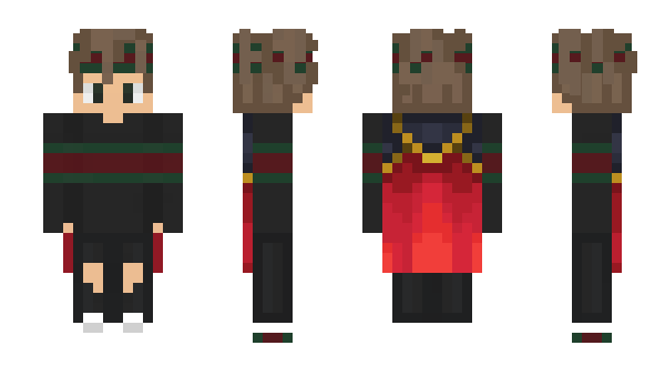 Minecraft skin SSurvival