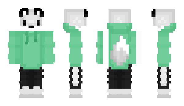 Minecraft skin ZorroGris