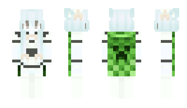 Minecraft skin Nary