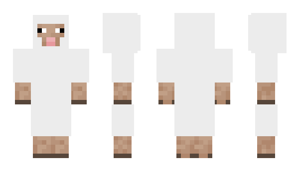 Minecraft skin BgBoy
