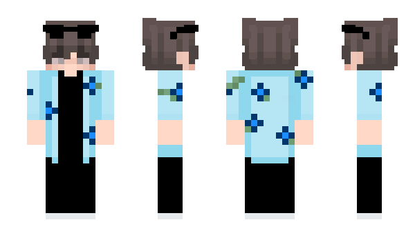 Minecraft skin ImShiro11_