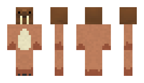 Minecraft skin Ksander