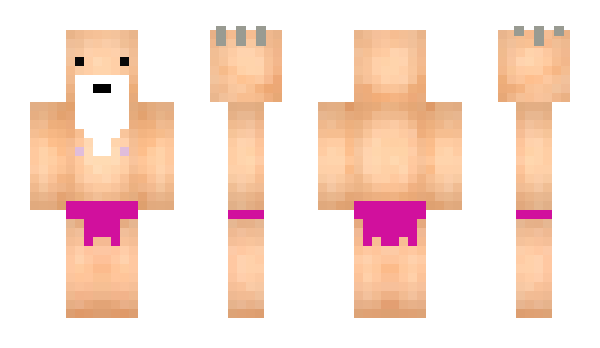 Minecraft skin irishkungfu