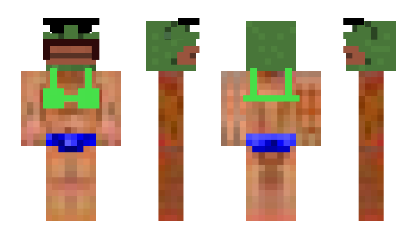 Minecraft skin hangay