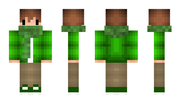 Minecraft skin TANIKS