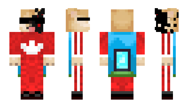 Minecraft skin Pxrro