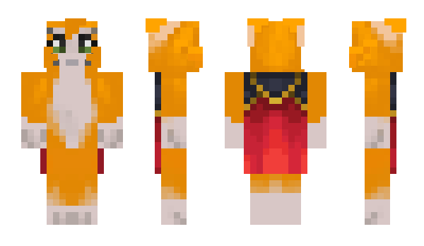Minecraft skin Costumes