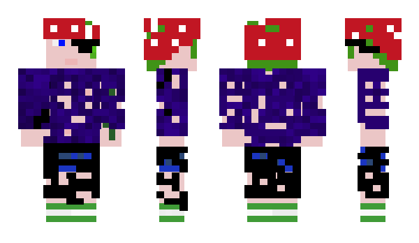 Minecraft skin akidderz