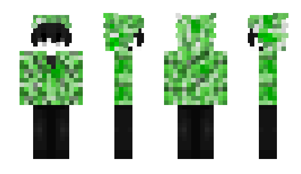 Minecraft skin Ayski