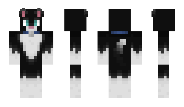 Minecraft skin GatoChiquito