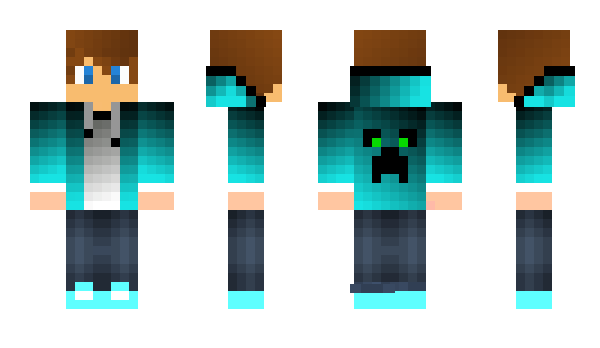 Minecraft skin FalconSS