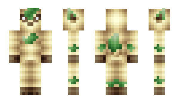 Minecraft скін по ніку Avoca