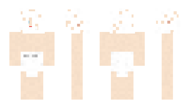 Minecraft skin Bleccs