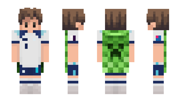 Minecraft skin Wippy