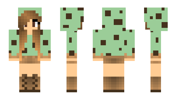 Minecraft skin Chambit