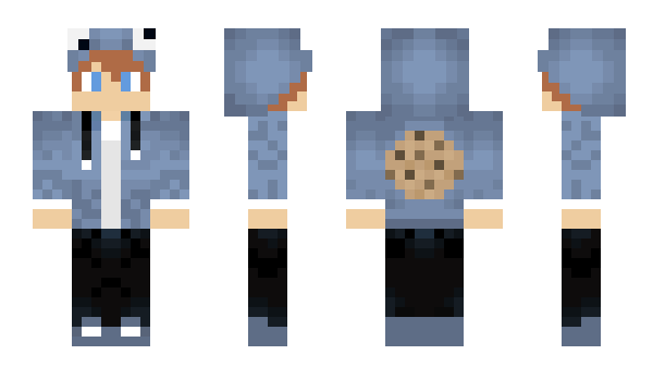 Minecraft skin Kingcoekies
