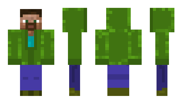 Minecraft skin dpqb