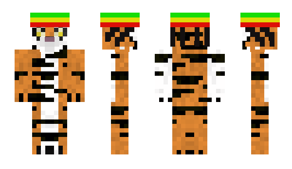 Minecraft skin Zachin