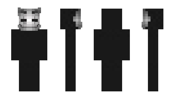 Minecraft skin 1788