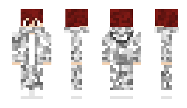 Minecraft skin SharkSK