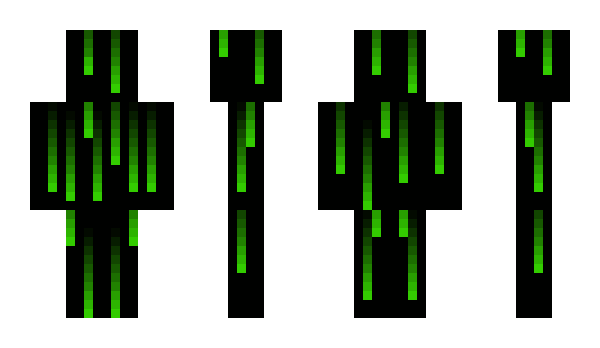 Minecraft skin Wildin