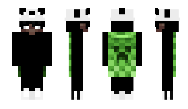 Minecraft skin _Heli