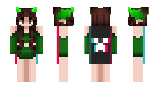 Minecraft skin xDashyXx