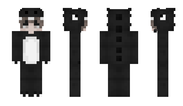 Minecraft skin Ratdogg