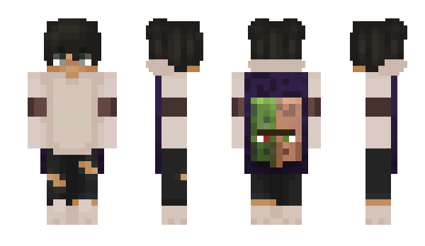 Minecraft skin 2696