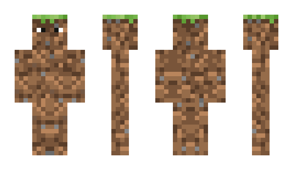 Minecraft skin NG123