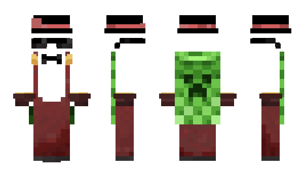 Minecraft skin Partisanin