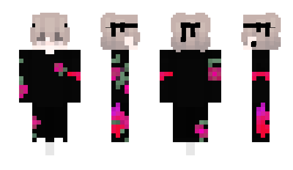 Minecraft skin Blockg