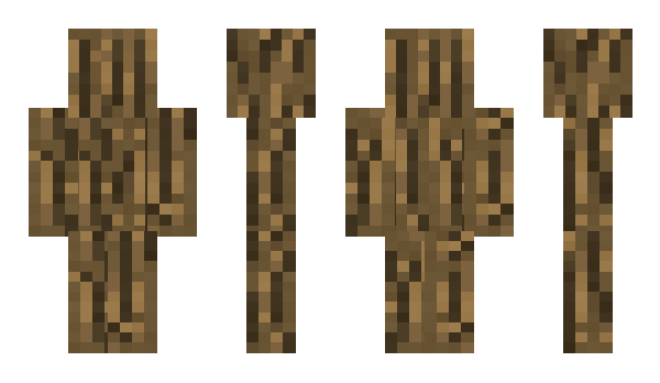 Minecraft skin ero555