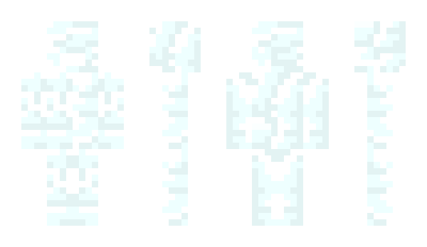 Minecraft skin wwwwwwq