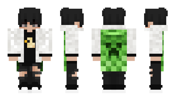 Minecraft skin sankenyt