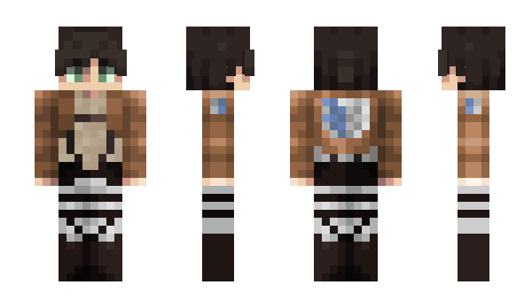 Minecraft skin Cam24011