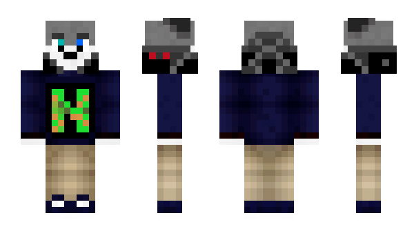 Minecraft skin NeedBrake