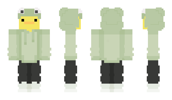 Minecraft skin BaraCapy
