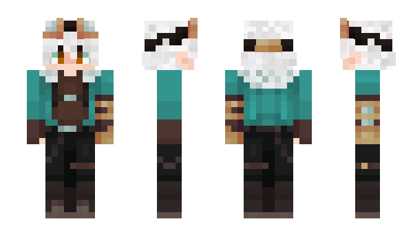 Minecraft skin Aicom
