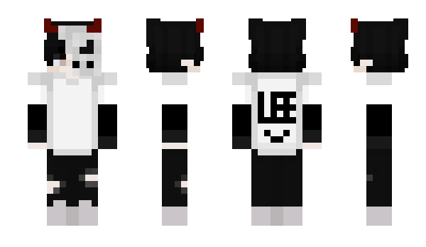 Minecraft skin DatW