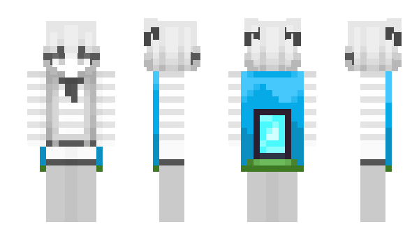 Minecraft skin fe2s3