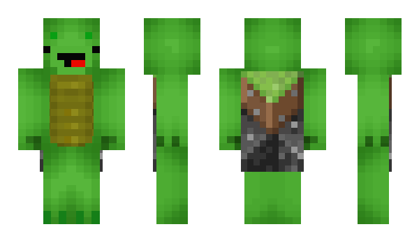 Minecraft skin Turtleee