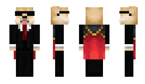 Minecraft skin Sasinator