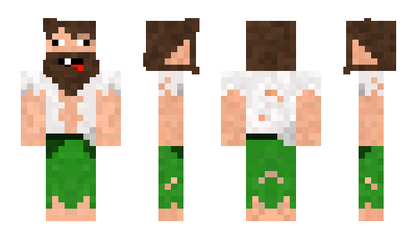 Minecraft skin david_22